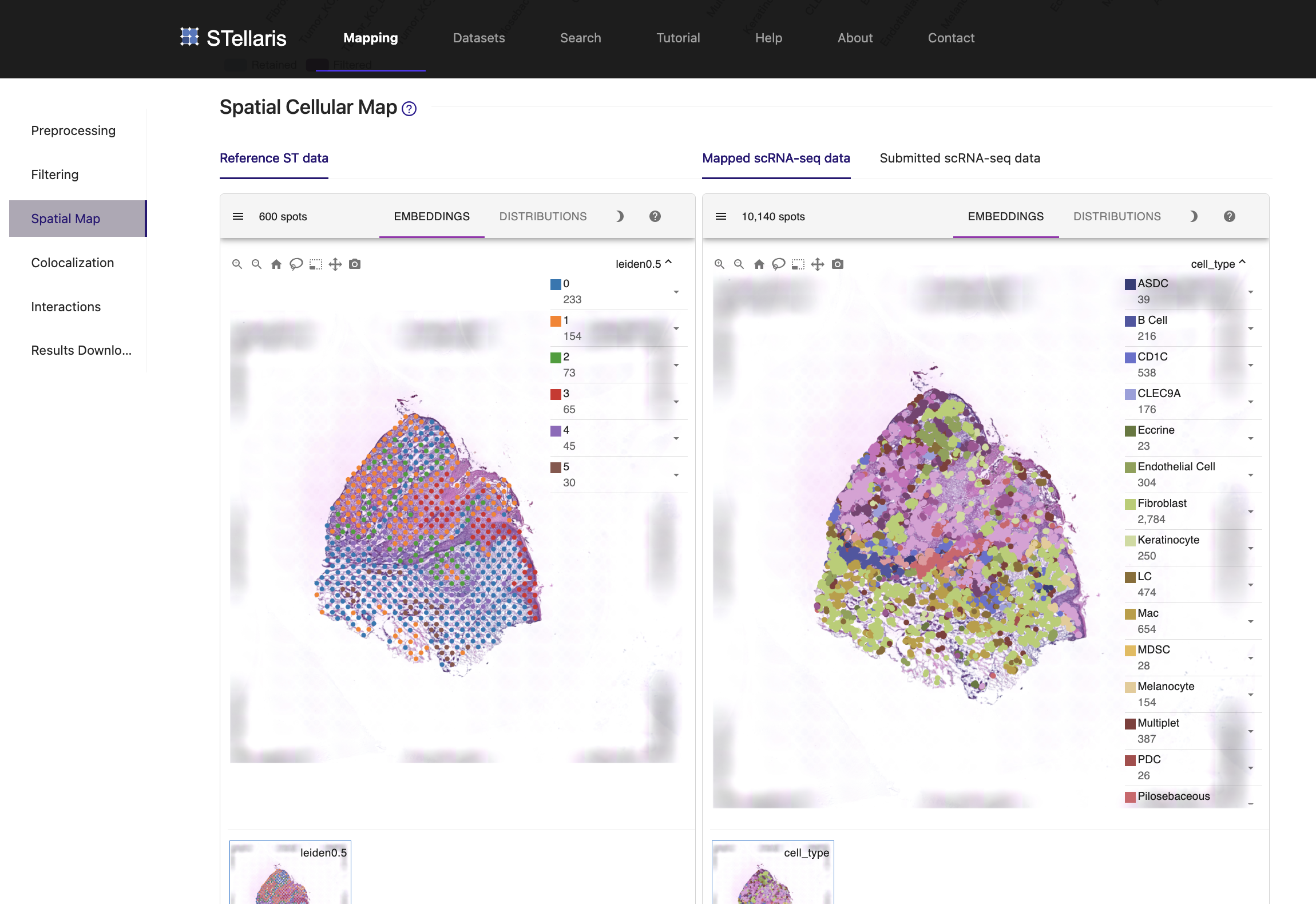 spatial_cellular_map